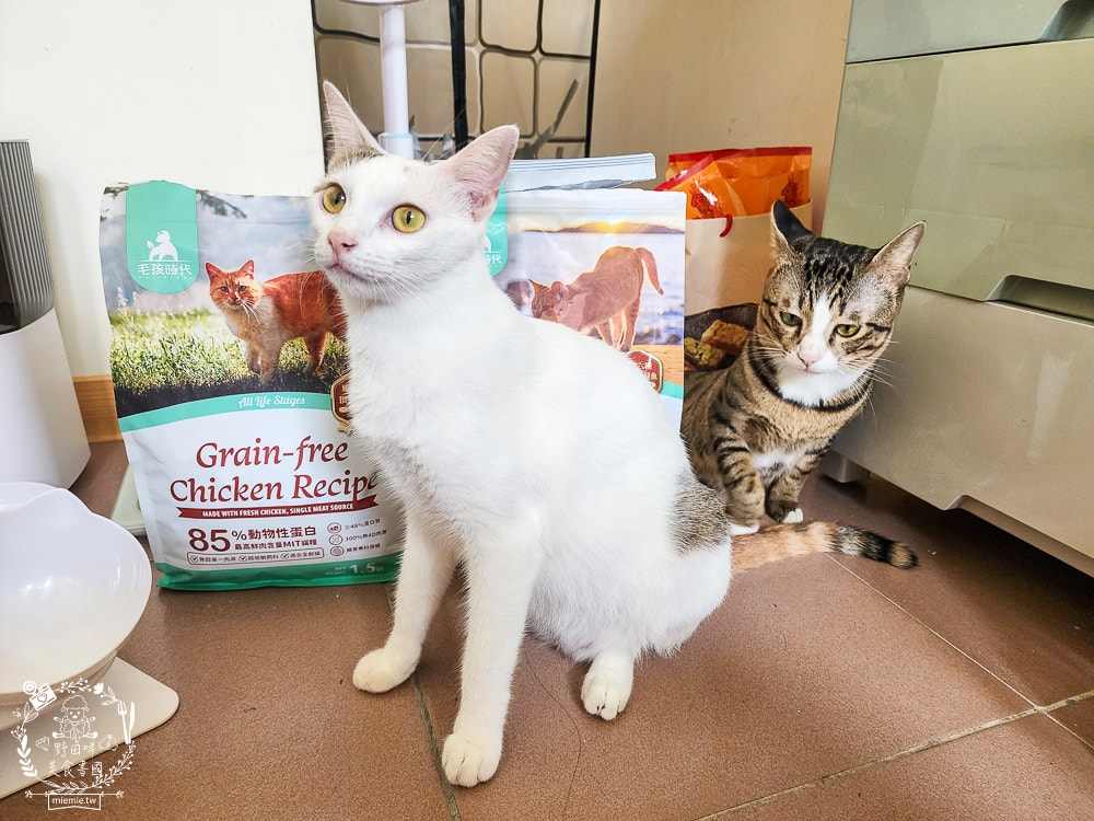 毛孩時代85%鮮雞肉無穀全貓糧&80%鮮魚肉無穀全貓糧|高蛋白低碳水的貓咪無穀貓糧推薦