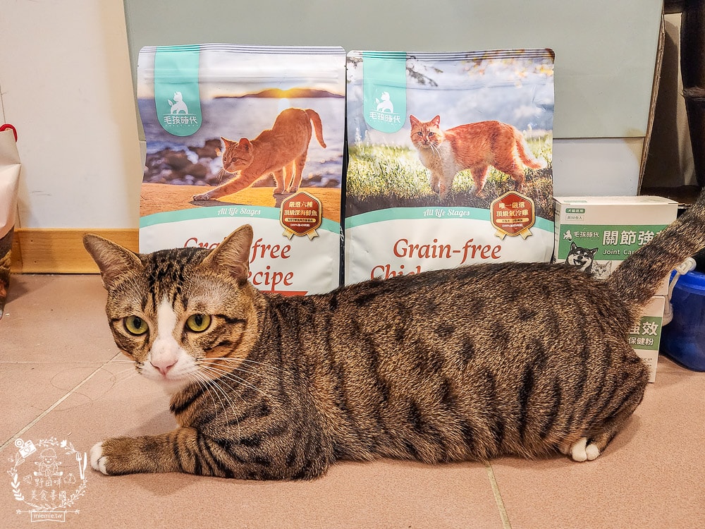 毛孩時代85%鮮雞肉無穀全貓糧&80%鮮魚肉無穀全貓糧|高蛋白低碳水的貓咪無穀貓糧推薦
