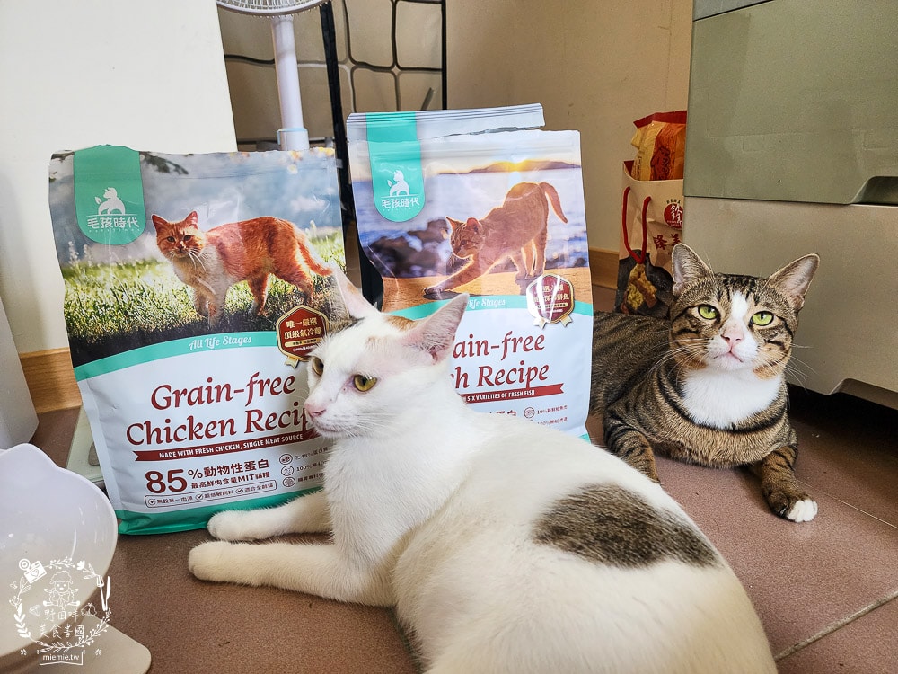 毛孩時代85%鮮雞肉無穀全貓糧&80%鮮魚肉無穀全貓糧|高蛋白低碳水的貓咪無穀貓糧推薦