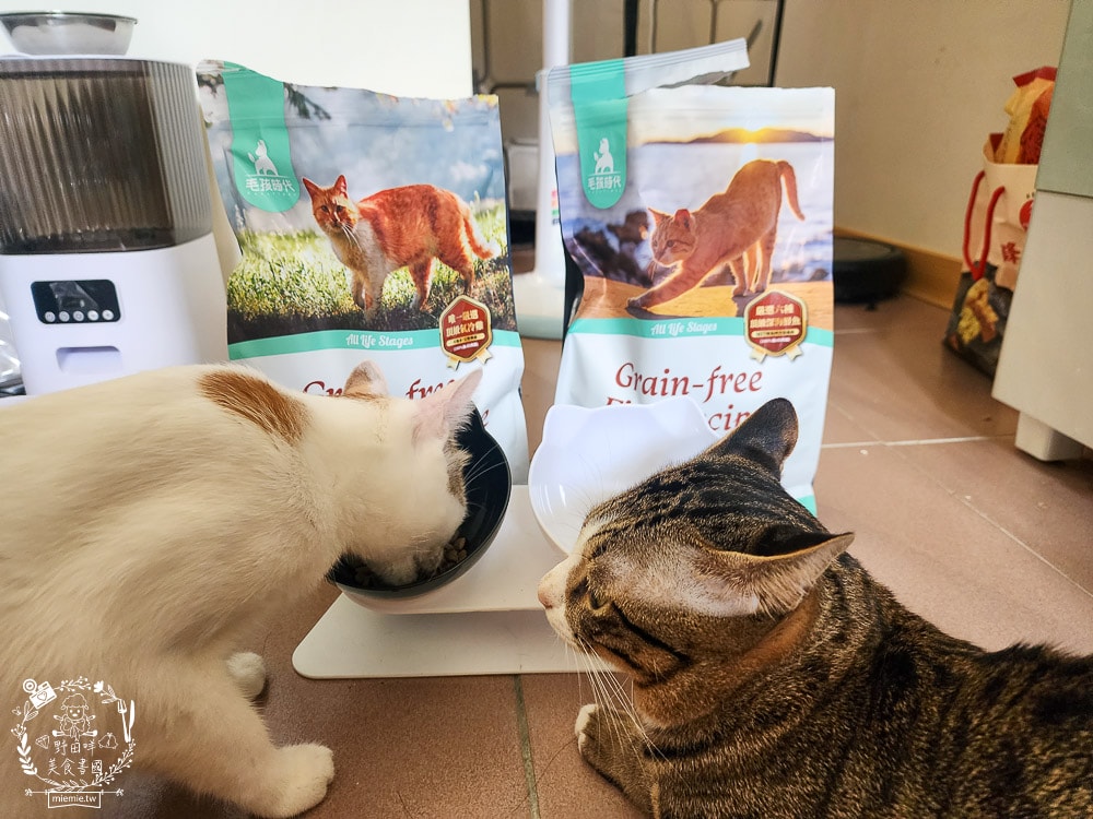 毛孩時代85%鮮雞肉無穀全貓糧&80%鮮魚肉無穀全貓糧|高蛋白低碳水的貓咪無穀貓糧推薦