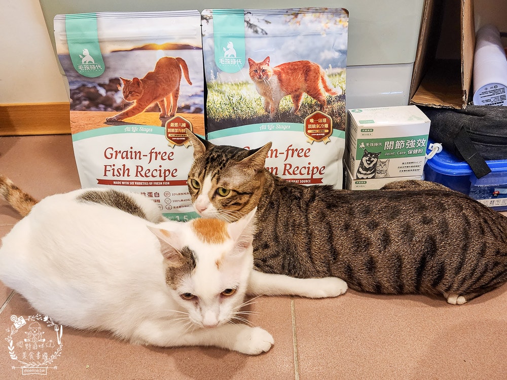 毛孩時代85%鮮雞肉無穀全貓糧&80%鮮魚肉無穀全貓糧|高蛋白低碳水的貓咪無穀貓糧推薦