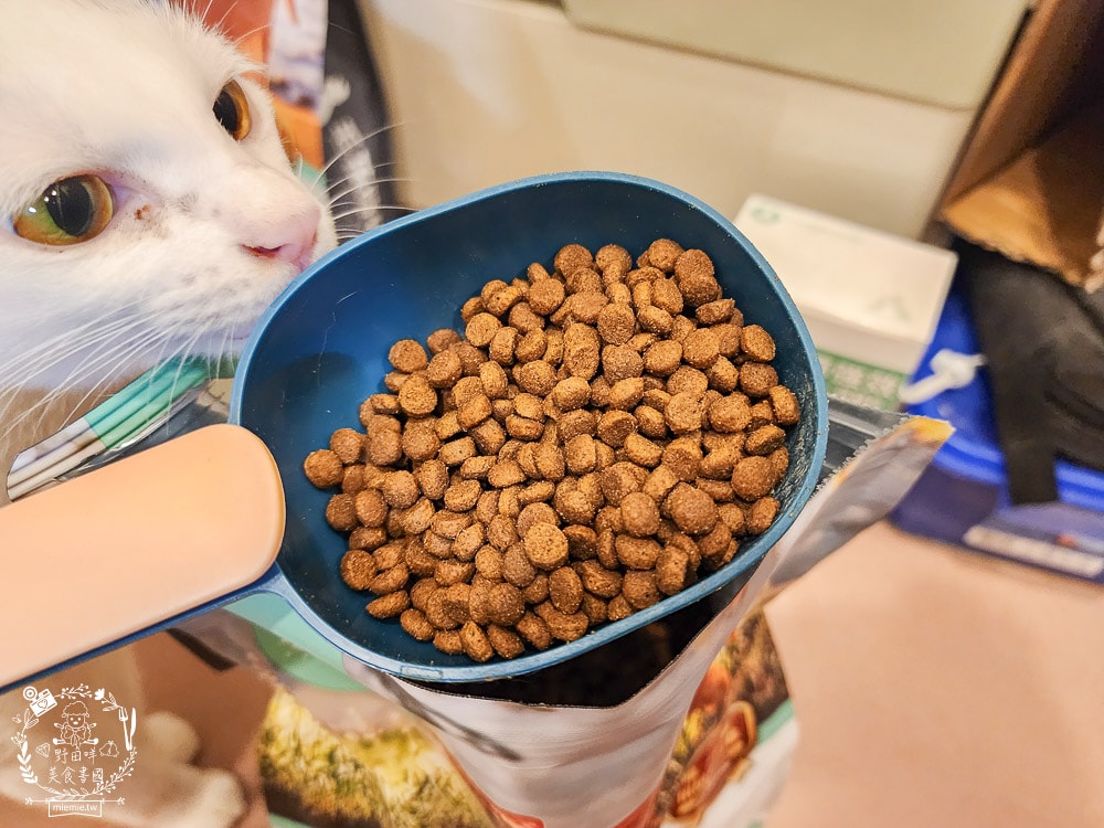 毛孩時代85%鮮雞肉無穀全貓糧&80%鮮魚肉無穀全貓糧|高蛋白低碳水的貓咪無穀貓糧推薦