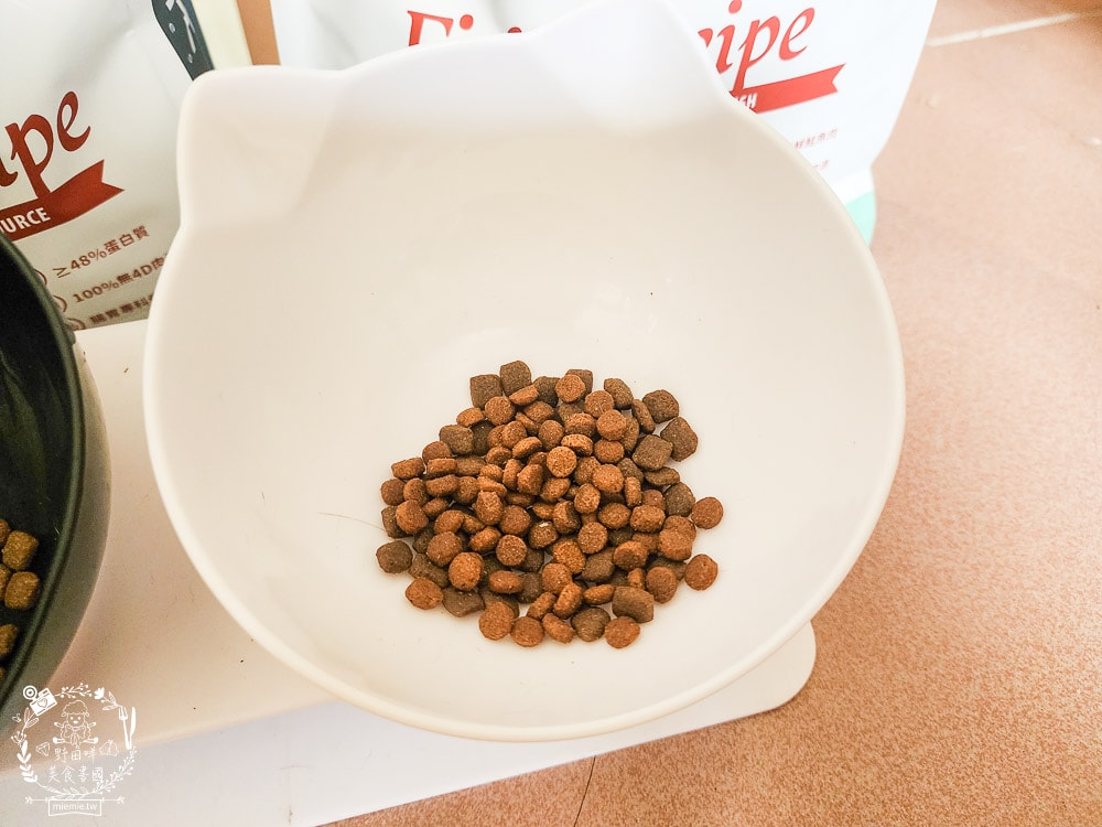 毛孩時代85%鮮雞肉無穀全貓糧&80%鮮魚肉無穀全貓糧|高蛋白低碳水的貓咪無穀貓糧推薦