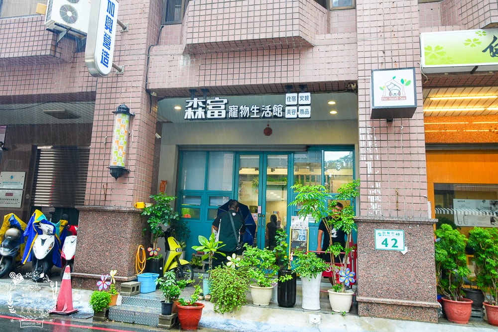 高雄河堤商圈美食餐廳推薦！三民區蔬食料理與複合式料理｜寵物住宿｜氣球派對｜藝術美學｜按摩舒壓｜