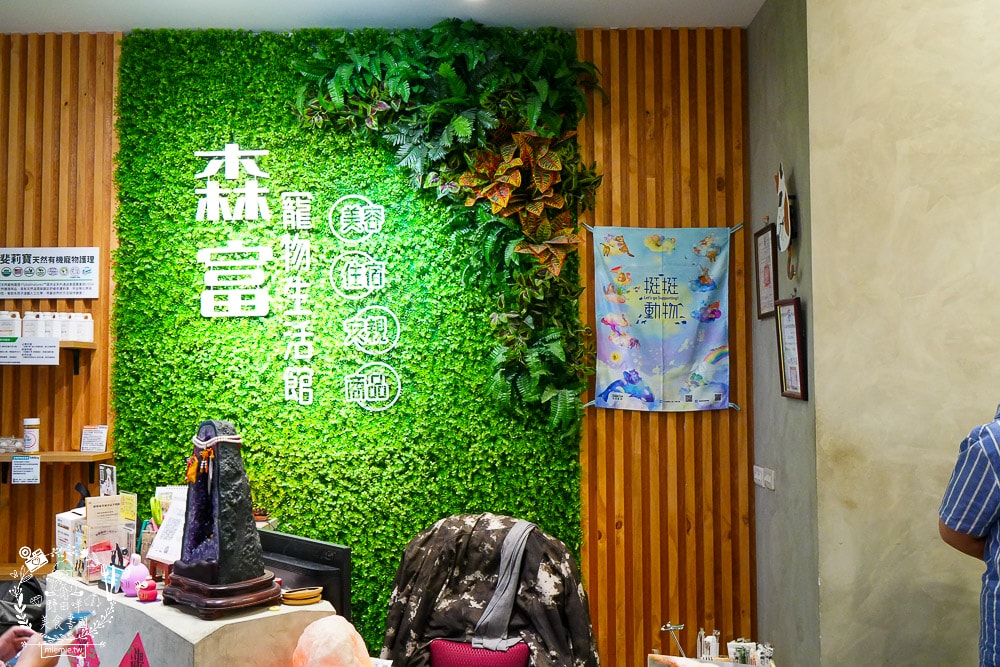 高雄河堤商圈美食餐廳推薦！三民區蔬食料理與複合式料理｜寵物住宿｜氣球派對｜藝術美學｜按摩舒壓｜