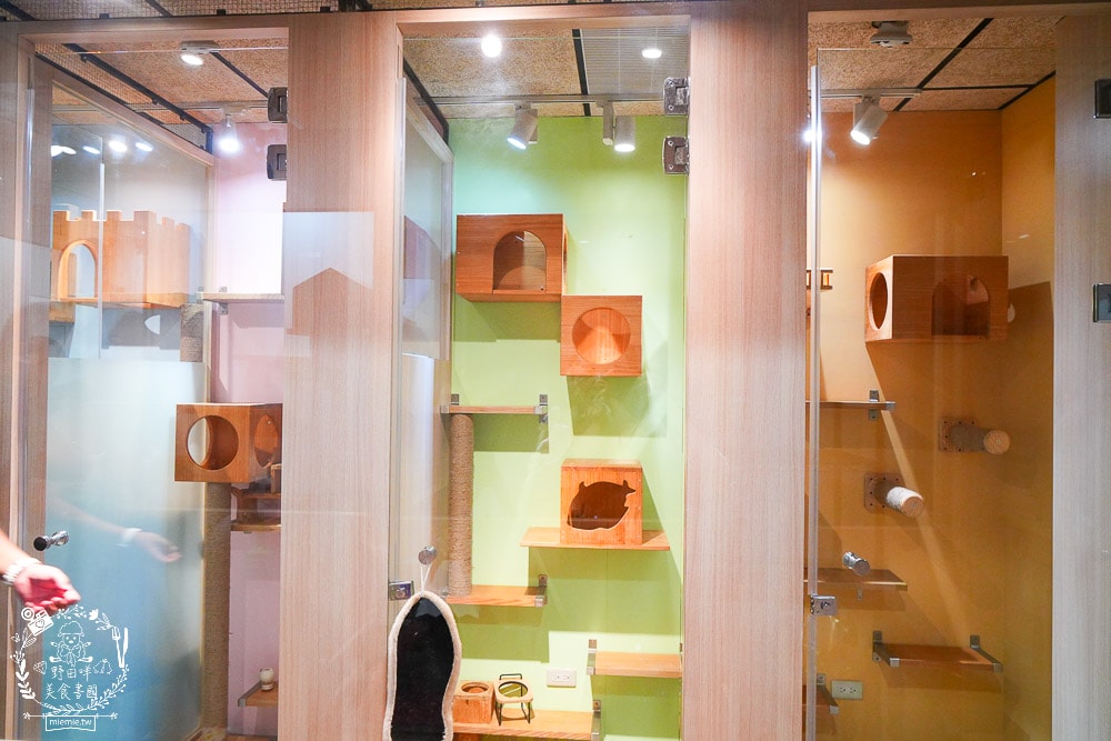 高雄河堤商圈美食餐廳推薦！三民區蔬食料理與複合式料理｜寵物住宿｜氣球派對｜藝術美學｜按摩舒壓｜