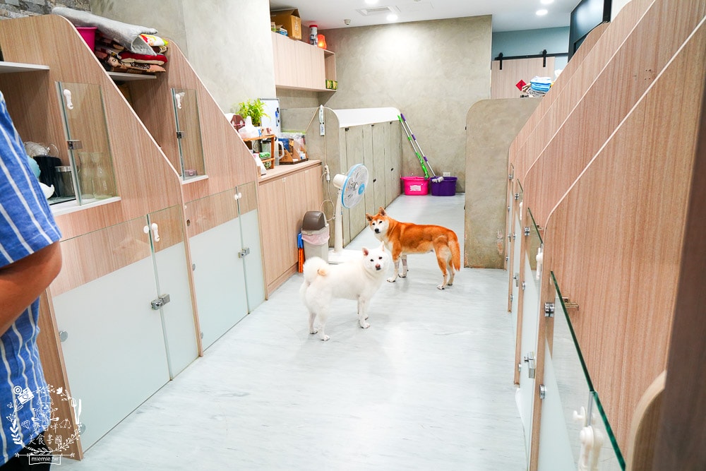 高雄河堤商圈美食餐廳推薦！三民區蔬食料理與複合式料理｜寵物住宿｜氣球派對｜藝術美學｜按摩舒壓｜