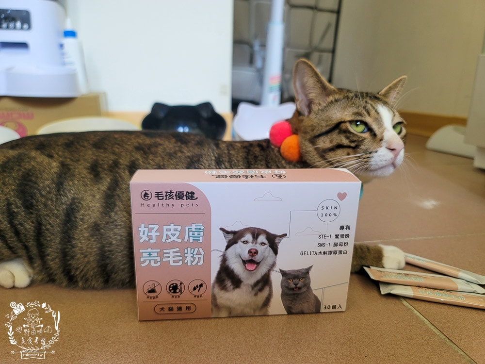 毛孩優健好皮膚亮毛粉｜貓咪皮毛蓬鬆充滿光澤！毛孩皮膚保健不可少！