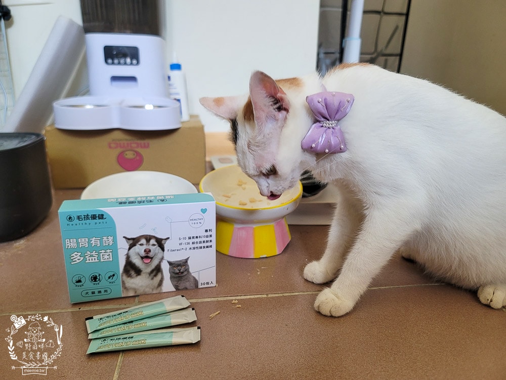 毛孩優健 腸胃有酵多益菌|貓咪的腸道好夥伴!嚴選腸胃保健10益菌 以及專利ABC乳酸菌 就添加了高達100億的活菌 - 第10張圖 毛孩優健 腸胃有酵多益菌|貓咪的腸道好夥伴!嚴選腸胃保健10益菌 以及專利ABC乳酸菌 就添加了高達100億的活菌