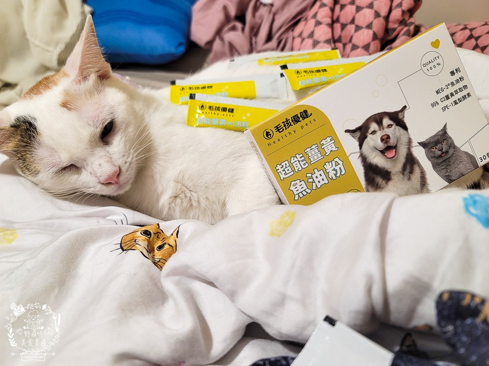 毛孩優健 超能薑黃魚油粉｜皮膚、心血管、抗發炎問題一包搞定！貓咪的基礎保養保健品