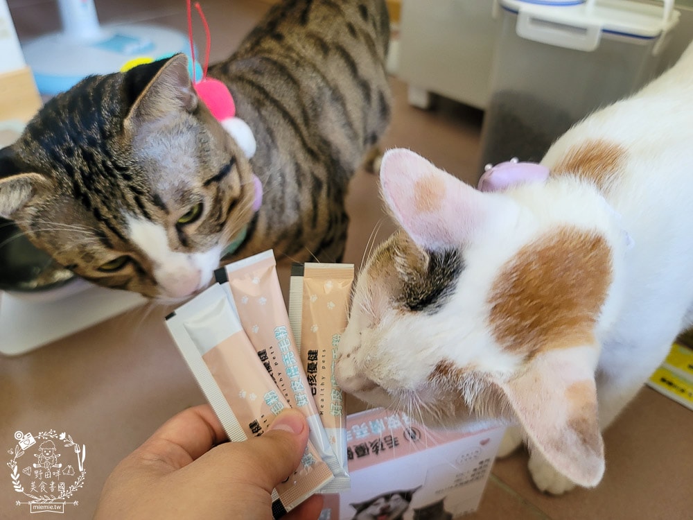 毛孩優健好皮膚亮毛粉｜貓咪皮毛蓬鬆充滿光澤！毛孩皮膚保健不可少！