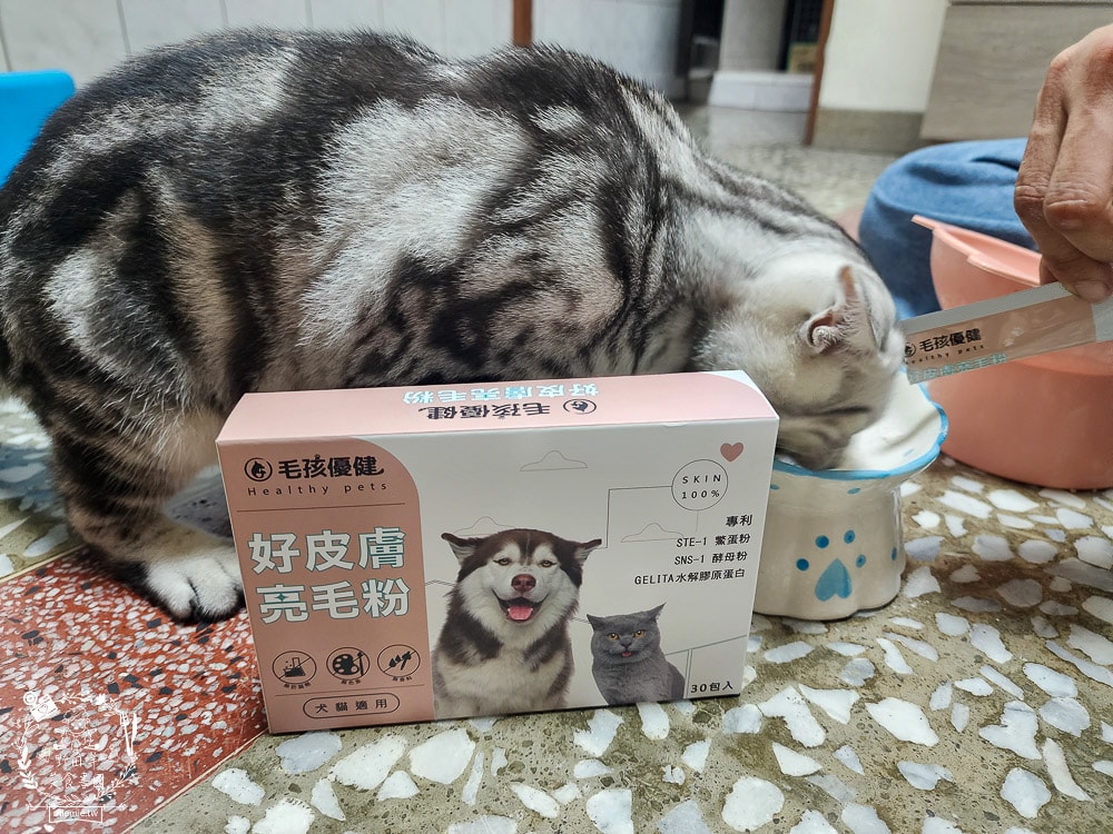 毛孩優健好皮膚亮毛粉｜貓咪皮毛蓬鬆充滿光澤！毛孩皮膚保健不可少！