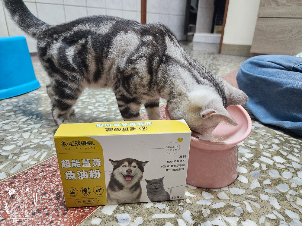 毛孩優健 超能薑黃魚油粉｜皮膚、心血管、抗發炎問題一包搞定！貓咪的基礎保養保健品