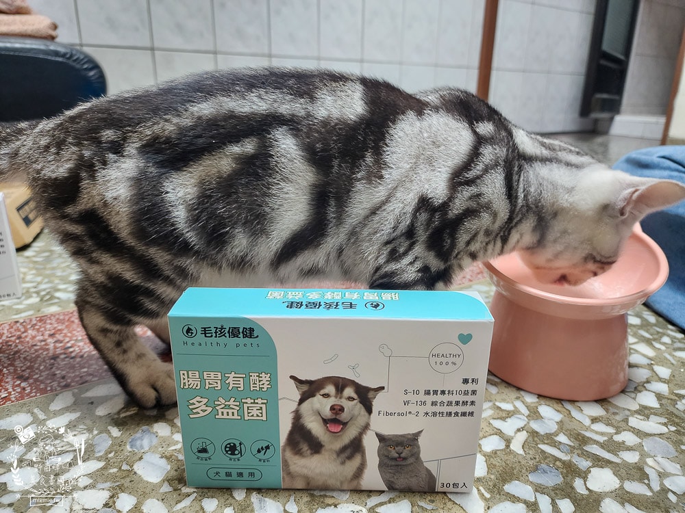 毛孩優健 腸胃有酵多益菌|貓咪的腸道好夥伴!嚴選腸胃保健10益菌 以及專利ABC乳酸菌 就添加了高達100億的活菌 - 第6張圖 毛孩優健 腸胃有酵多益菌|貓咪的腸道好夥伴!嚴選腸胃保健10益菌 以及專利ABC乳酸菌 就添加了高達100億的活菌