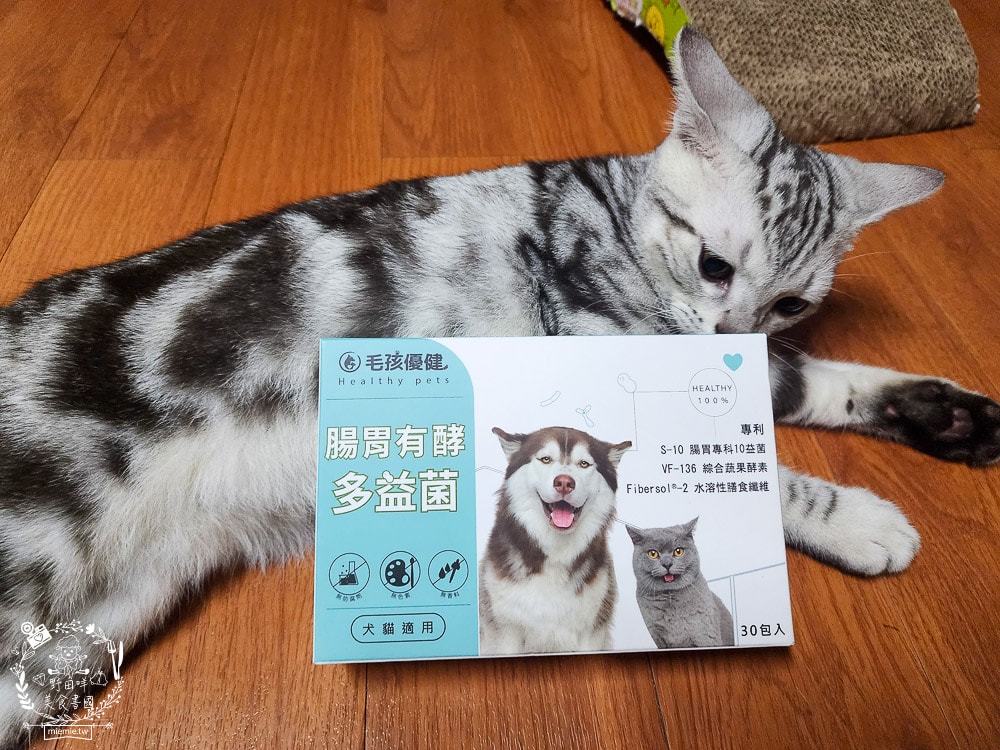 毛孩優健 腸胃有酵多益菌|貓咪的腸道好夥伴!嚴選腸胃保健10益菌 以及專利ABC乳酸菌 就添加了高達100億的活菌 - 第7張圖 毛孩優健 腸胃有酵多益菌|貓咪的腸道好夥伴!嚴選腸胃保健10益菌 以及專利ABC乳酸菌 就添加了高達100億的活菌