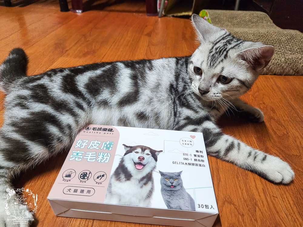 毛孩優健好皮膚亮毛粉｜貓咪皮毛蓬鬆充滿光澤！毛孩皮膚保健不可少！