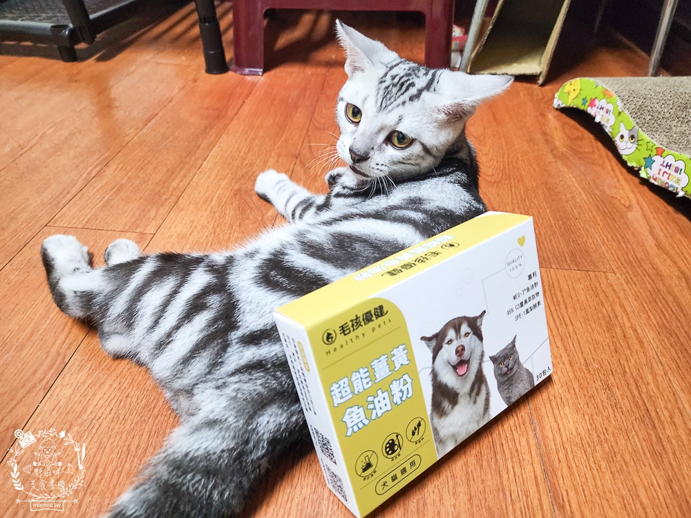 毛孩優健 超能薑黃魚油粉｜皮膚、心血管、抗發炎問題一包搞定！貓咪的基礎保養保健品
