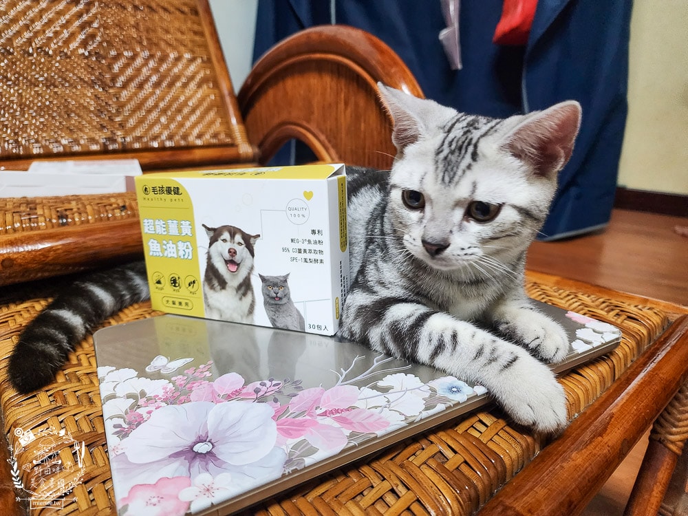 毛孩優健 超能薑黃魚油粉｜皮膚、心血管、抗發炎問題一包搞定！貓咪的基礎保養保健品