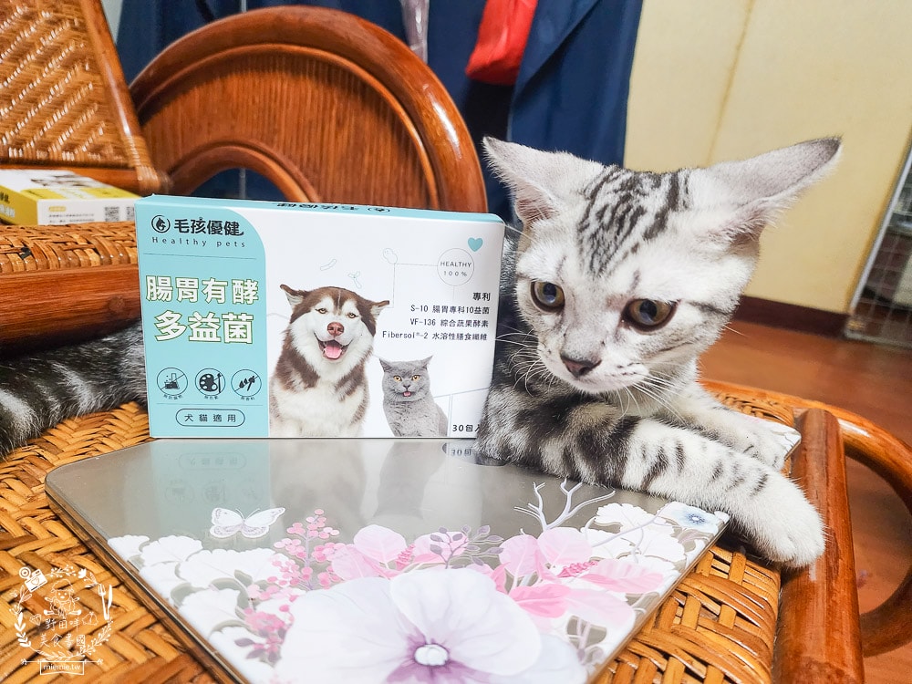 毛孩優健 腸胃有酵多益菌|貓咪的腸道好夥伴!嚴選腸胃保健10益菌 以及專利ABC乳酸菌 就添加了高達100億的活菌 - 第8張圖 毛孩優健 腸胃有酵多益菌|貓咪的腸道好夥伴!嚴選腸胃保健10益菌 以及專利ABC乳酸菌 就添加了高達100億的活菌