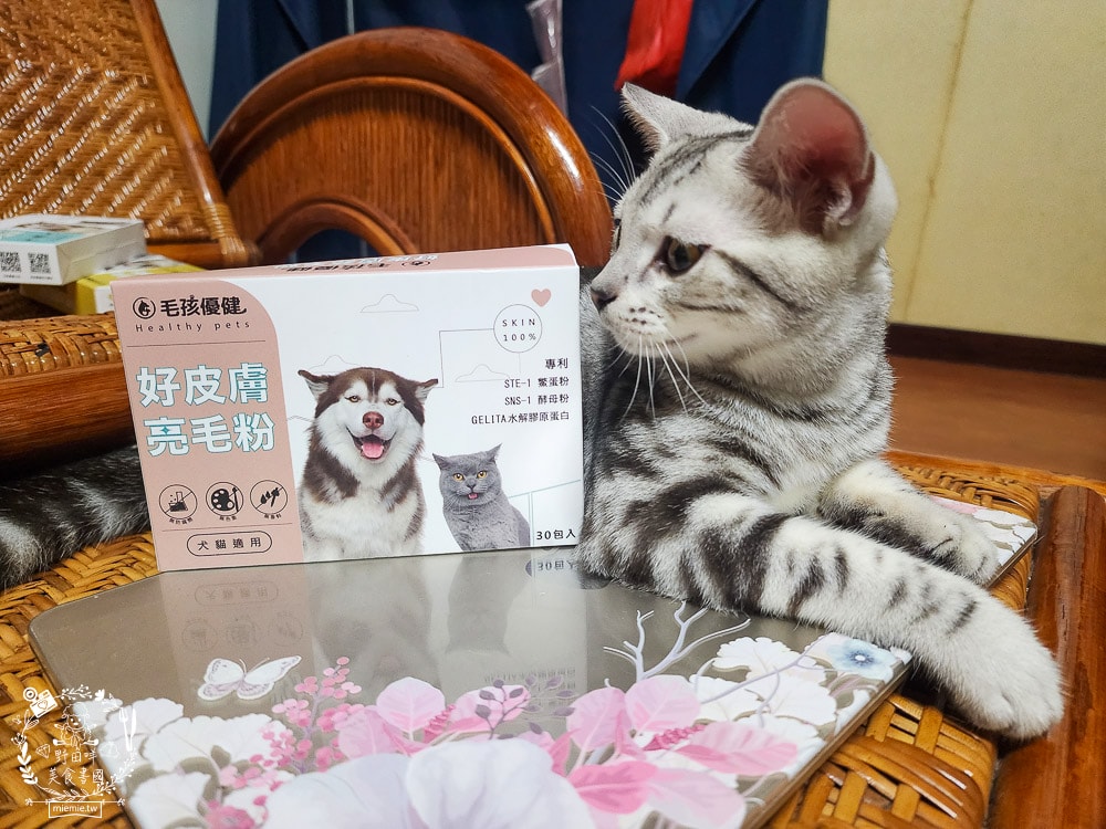 毛孩優健好皮膚亮毛粉｜貓咪皮毛蓬鬆充滿光澤！毛孩皮膚保健不可少！