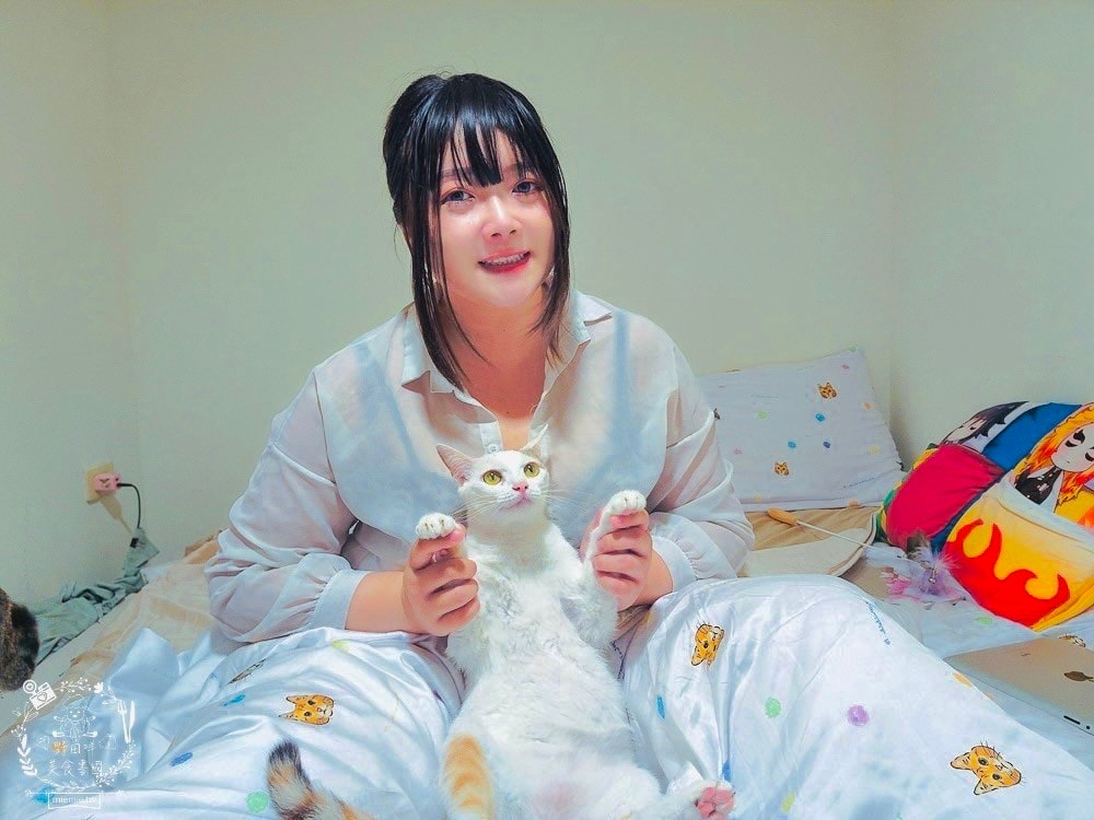 天絲床包推薦[伯尼寢具]暢首易言獨家聯名款60支天絲喵喵甜心床包兩用被組！台灣夏天必備涼爽床被！