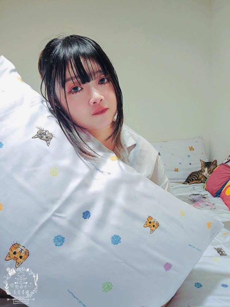 天絲床包推薦[伯尼寢具]暢首易言獨家聯名款60支天絲喵喵甜心床包兩用被組！台灣夏天必備涼爽床被！