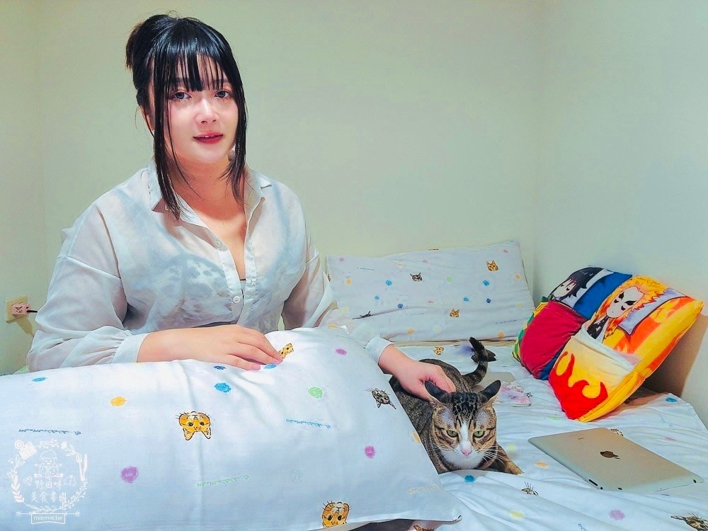 天絲床包推薦[伯尼寢具]暢首易言獨家聯名款60支天絲喵喵甜心床包兩用被組！台灣夏天必備涼爽床被！