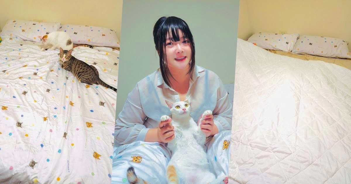 天絲床包推薦[伯尼寢具]暢首易言獨家聯名款60支天絲喵喵甜心床包兩用被組！台灣夏天必備涼爽床被！