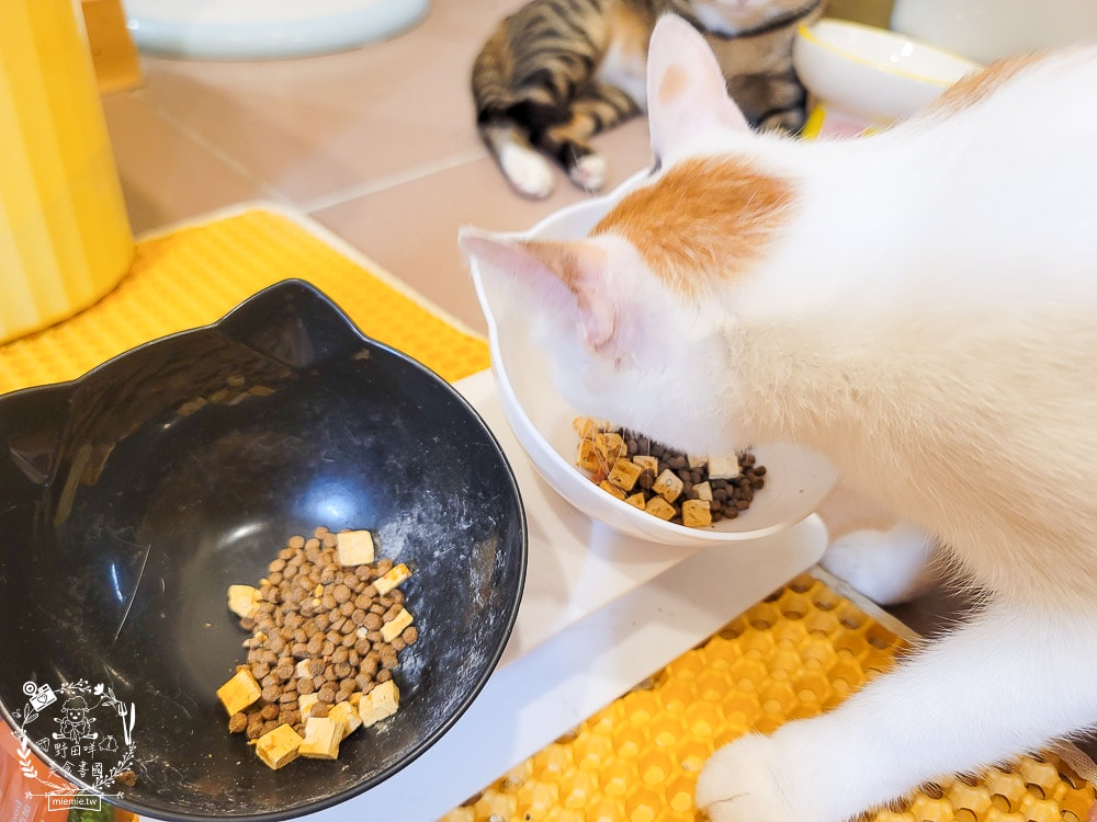 Petlife評價[晶饌纖蔬肉糧]超多凍乾+乾糧的低敏優穀貓糧！十億級食安中心檢驗把關的好飼料