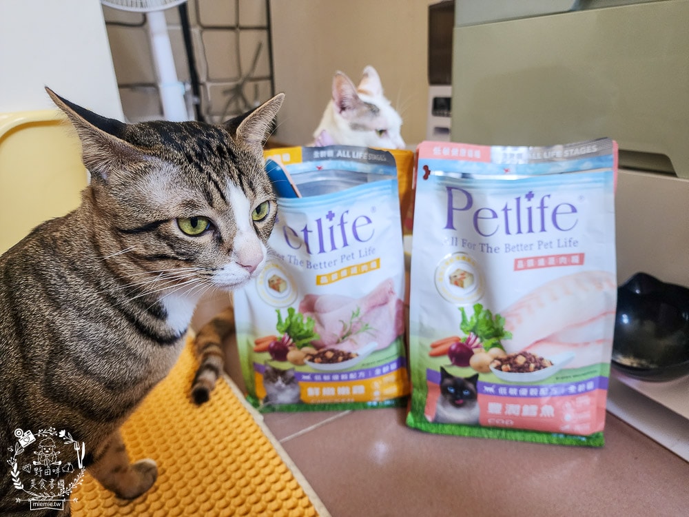 Petlife評價[晶饌纖蔬肉糧]超多凍乾+乾糧的低敏優穀貓糧！十億級食安中心檢驗把關的好飼料