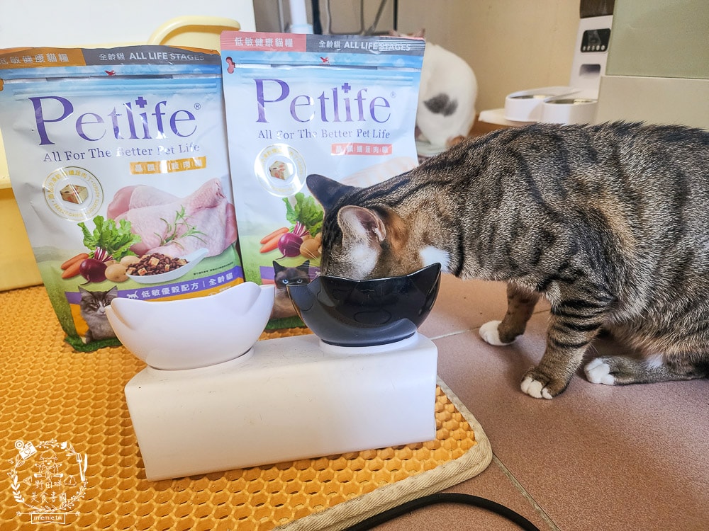 Petlife評價[晶饌纖蔬肉糧]超多凍乾+乾糧的低敏優穀貓糧！十億級食安中心檢驗把關的好飼料