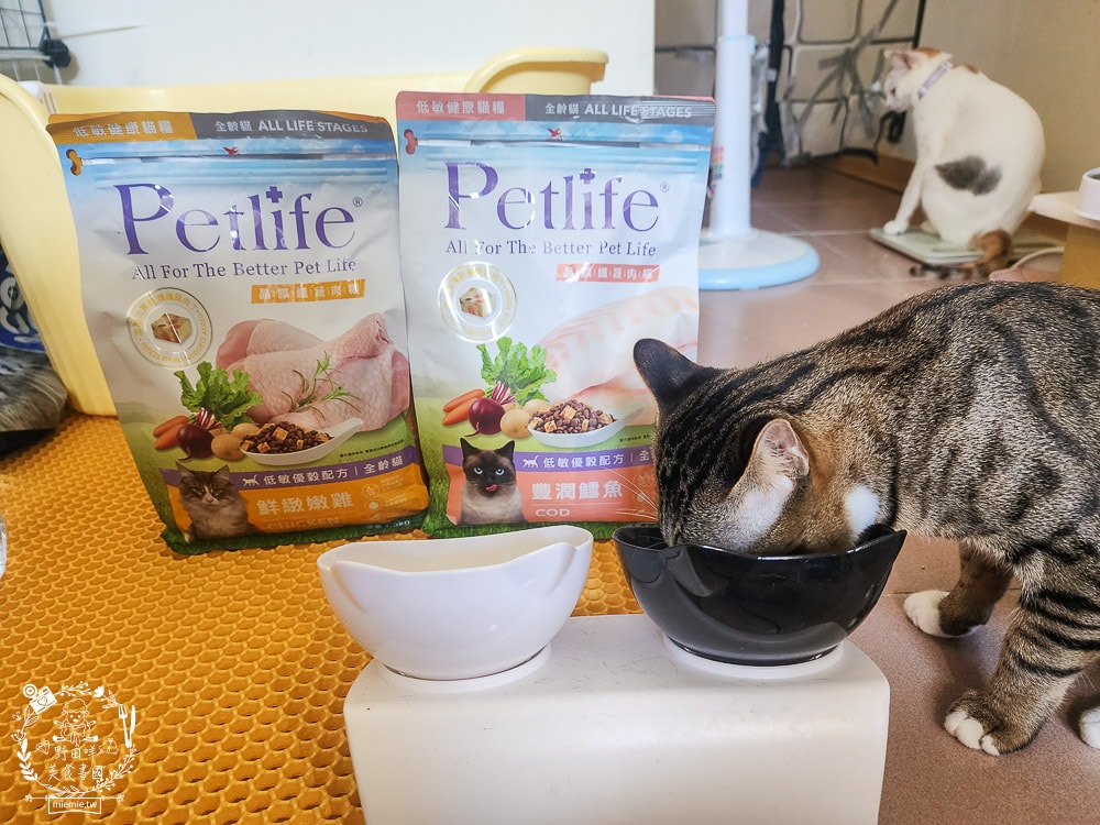 Petlife評價[晶饌纖蔬肉糧]超多凍乾+乾糧的低敏優穀貓糧！十億級食安中心檢驗把關的好飼料