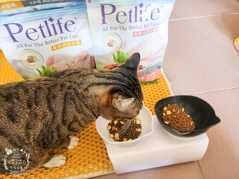 Petlife評價[晶饌纖蔬肉糧]超多凍乾+乾糧的低敏優穀貓糧！十億級食安中心檢驗把關的好飼料