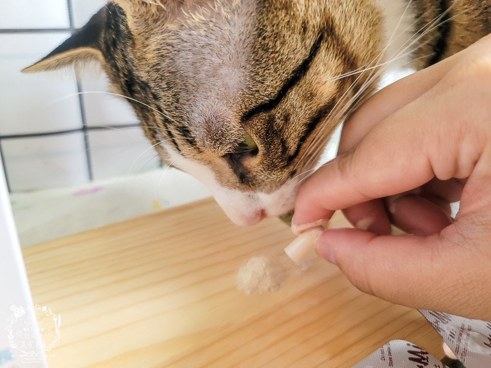 汪咪博士喵貝健綜合營養補充品｜16種維生素＋14種礦物質提供毛孩最全方位的營養補給！