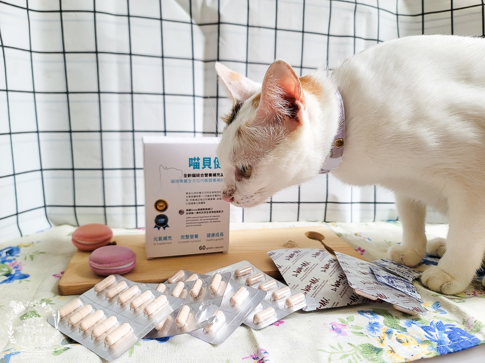 汪咪博士喵貝健綜合營養補充品｜16種維生素＋14種礦物質提供毛孩最全方位的營養補給！