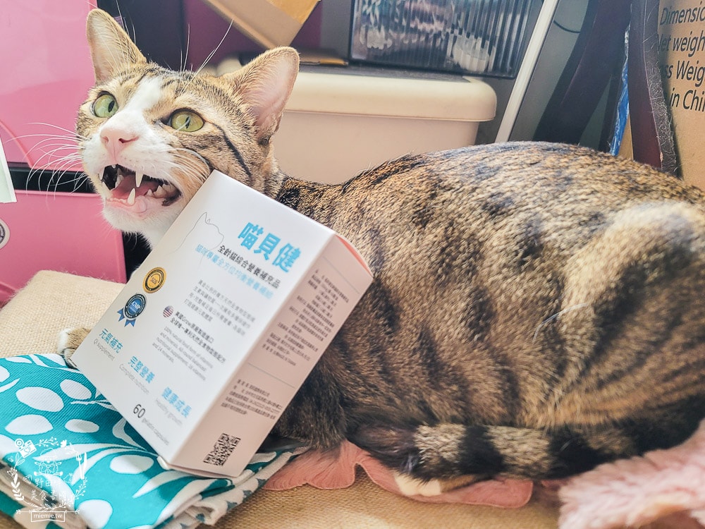 汪咪博士喵貝健綜合營養補充品｜16種維生素＋14種礦物質提供毛孩最全方位的營養補給！