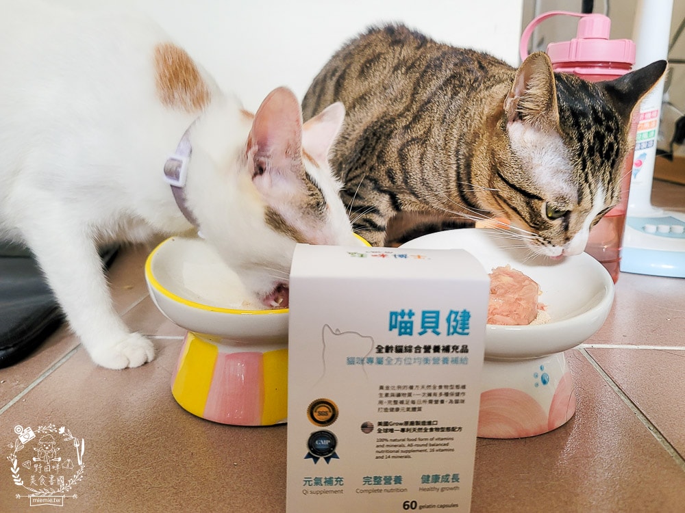 汪咪博士喵貝健綜合營養補充品｜16種維生素＋14種礦物質提供毛孩最全方位的營養補給！