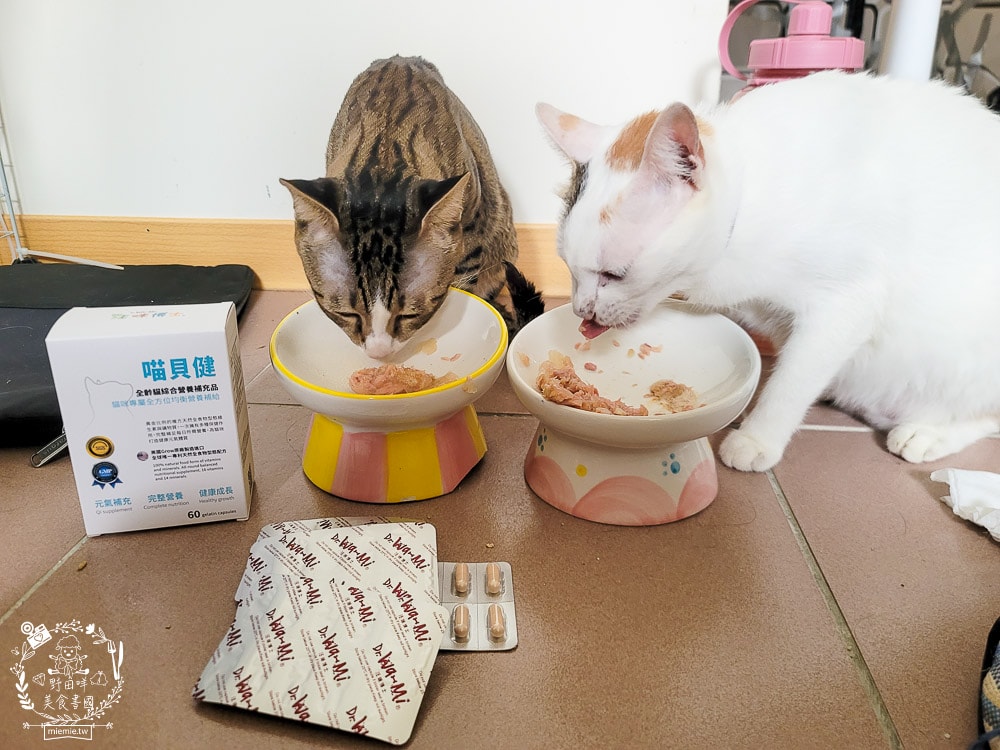 汪咪博士喵貝健綜合營養補充品｜16種維生素＋14種礦物質提供毛孩最全方位的營養補給！