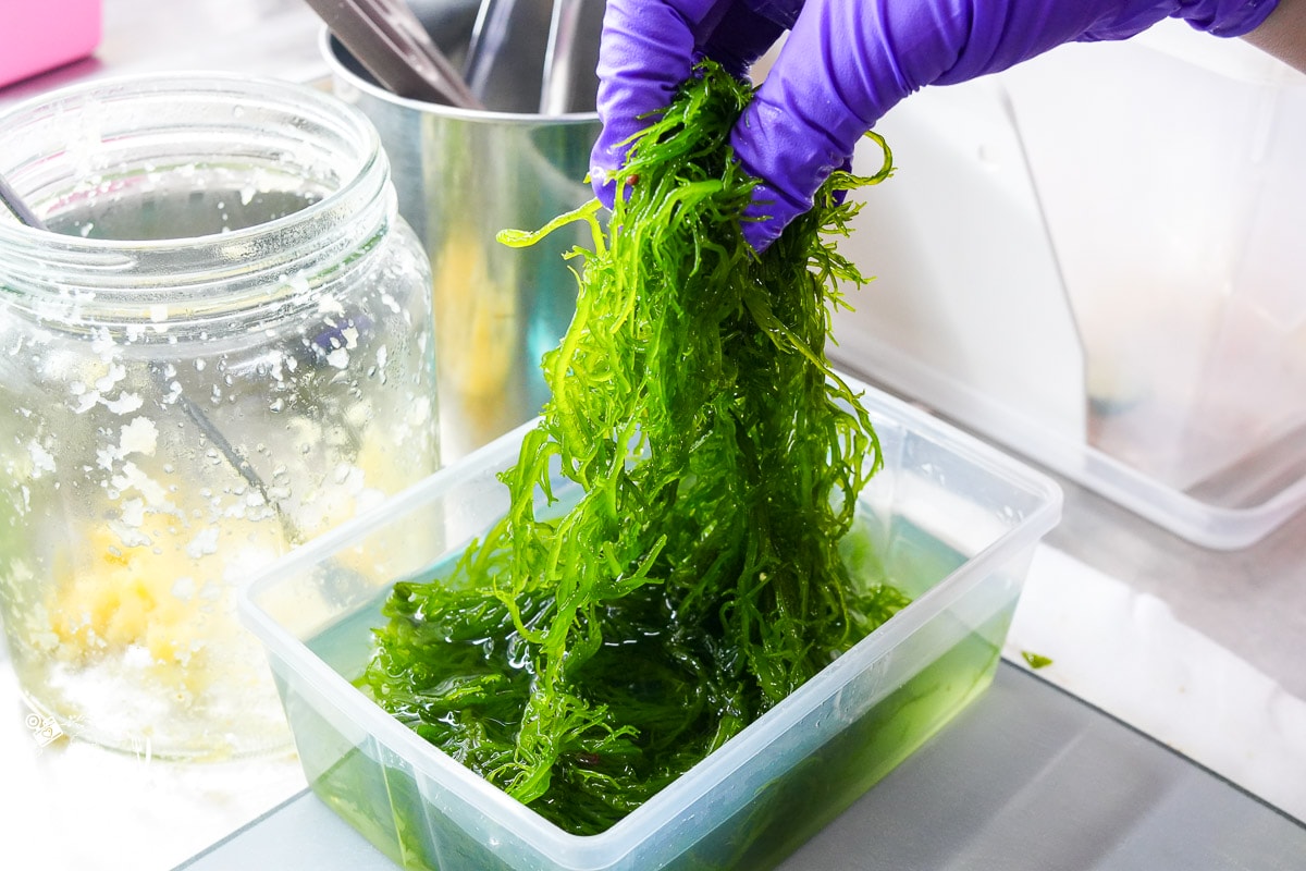 高雄宸邑鹽水雞關東煮|科工館附近的低脂美食!舒肥雞胸肉超級鮮嫩!高雄必吃鹽水雞! - 第25張圖 高雄宸邑鹽水雞關東煮|科工館附近的低脂美食!舒肥雞胸肉超級鮮嫩!高雄必吃鹽水雞!