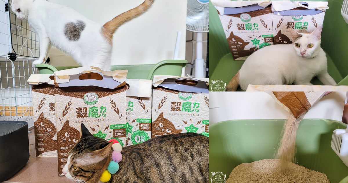 穀物貓砂推薦|穀魔力天然穀物貓砂|除臭力、超強凝結力、粉塵低的貓砂推薦！