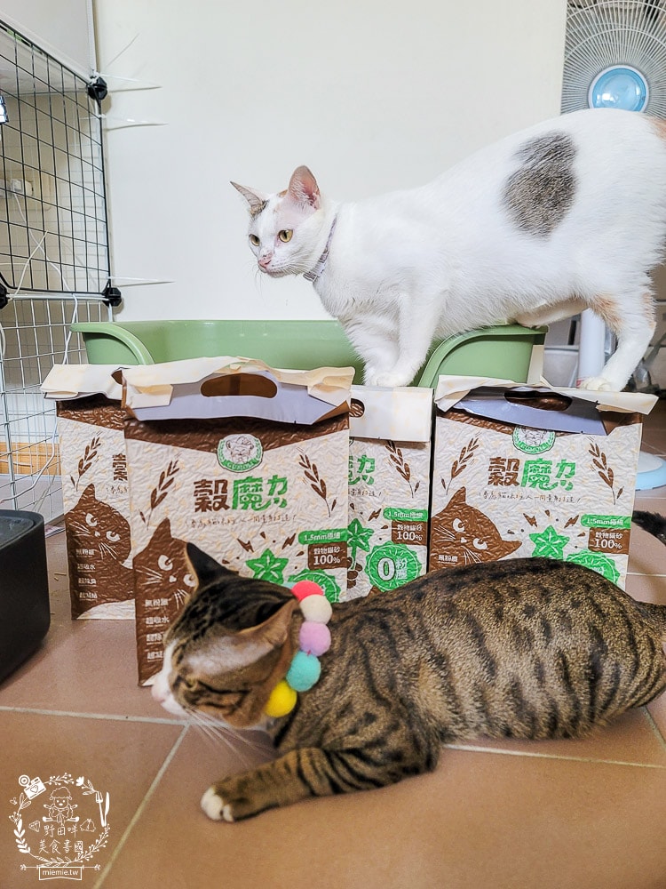穀物貓砂推薦|穀魔力天然穀物貓砂|除臭力、超強凝結力、粉塵低的貓砂推薦！