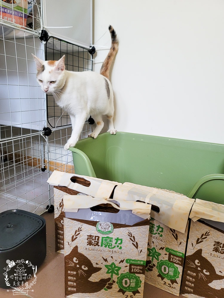 穀物貓砂推薦|穀魔力天然穀物貓砂|除臭力、超強凝結力、粉塵低的貓砂推薦！