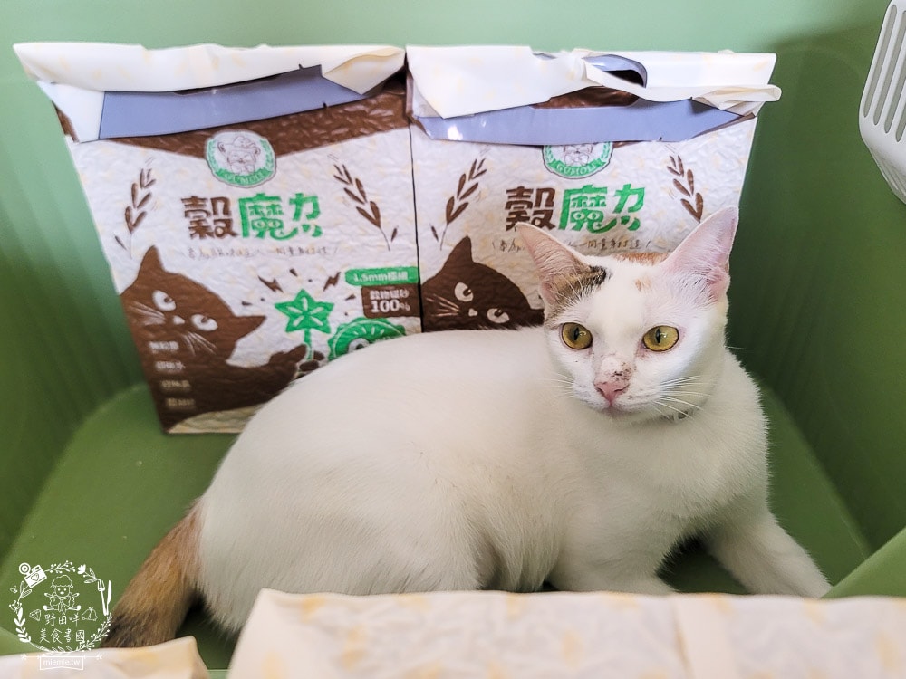 穀物貓砂推薦|穀魔力天然穀物貓砂|除臭力、超強凝結力、粉塵低的貓砂推薦！
