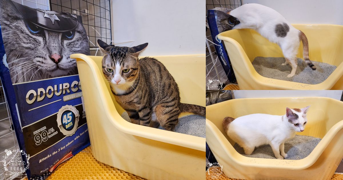 臭味警探貓砂|抑味抗菌長達30-45天，還有99.9%極低粉塵｜100%美國膨潤土+活性碳