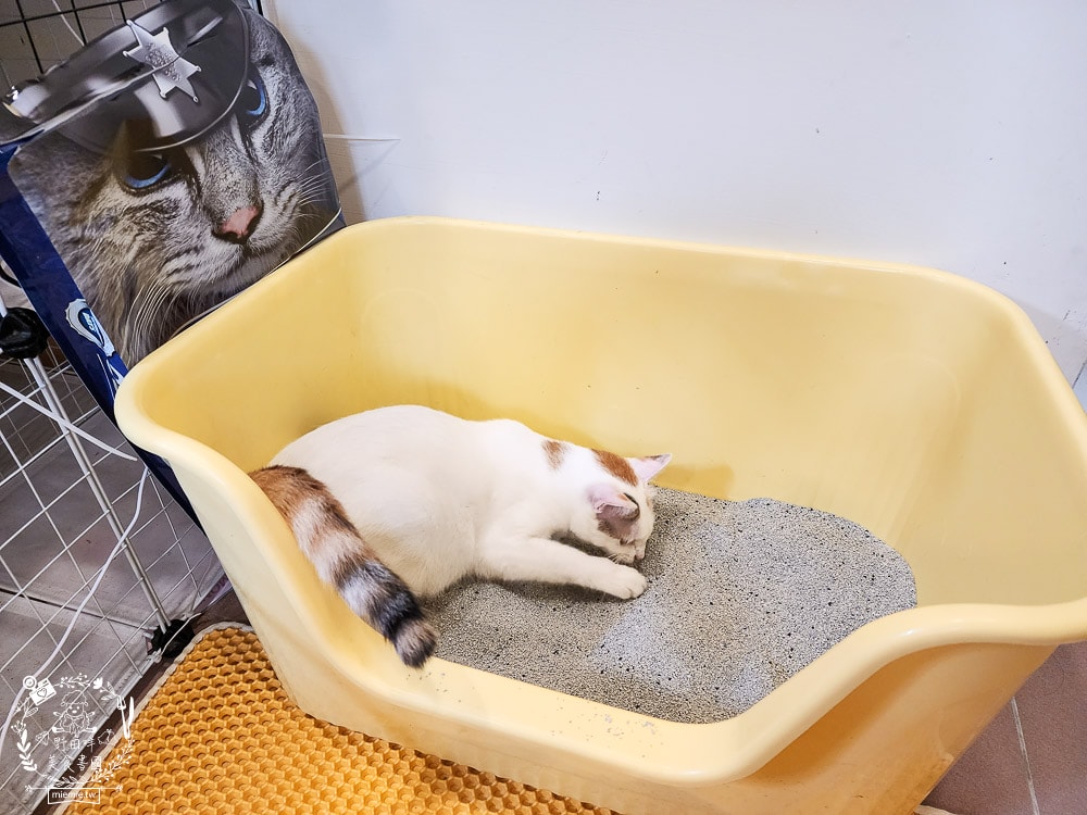 臭味警探貓砂|抑味抗菌長達30-45天，還有99.9%極低粉塵｜100%美國膨潤土+活性碳