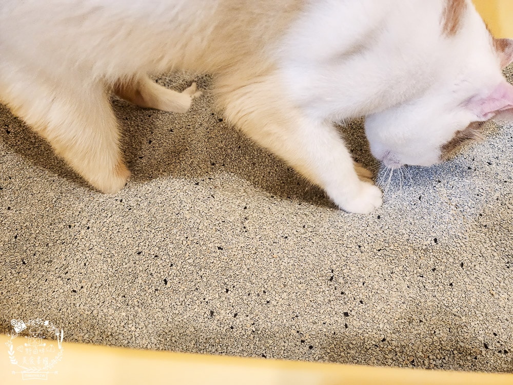 臭味警探貓砂|抑味抗菌長達30-45天，還有99.9%極低粉塵｜100%美國膨潤土+活性碳