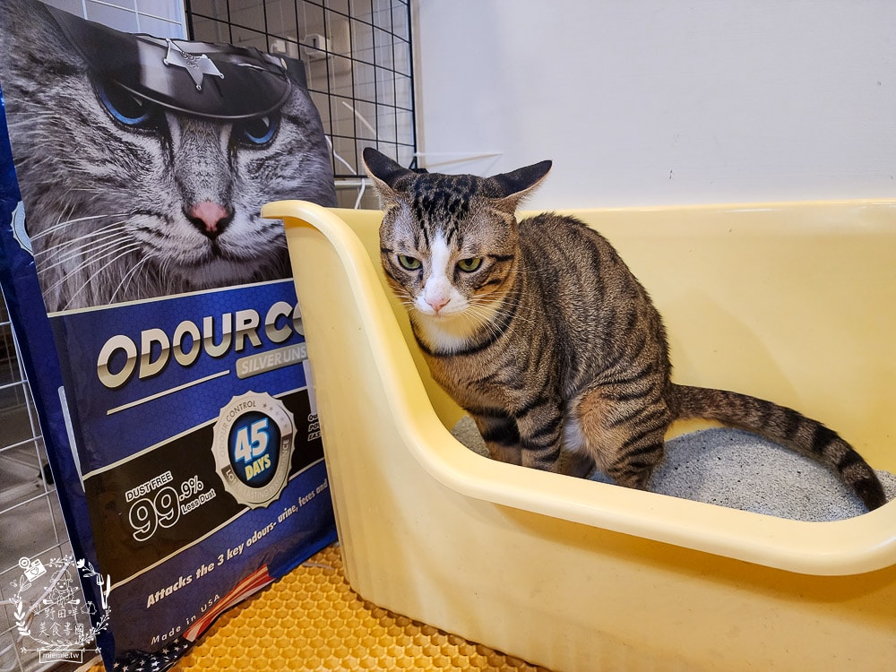 臭味警探貓砂|抑味抗菌長達30-45天，還有99.9%極低粉塵｜100%美國膨潤土+活性碳