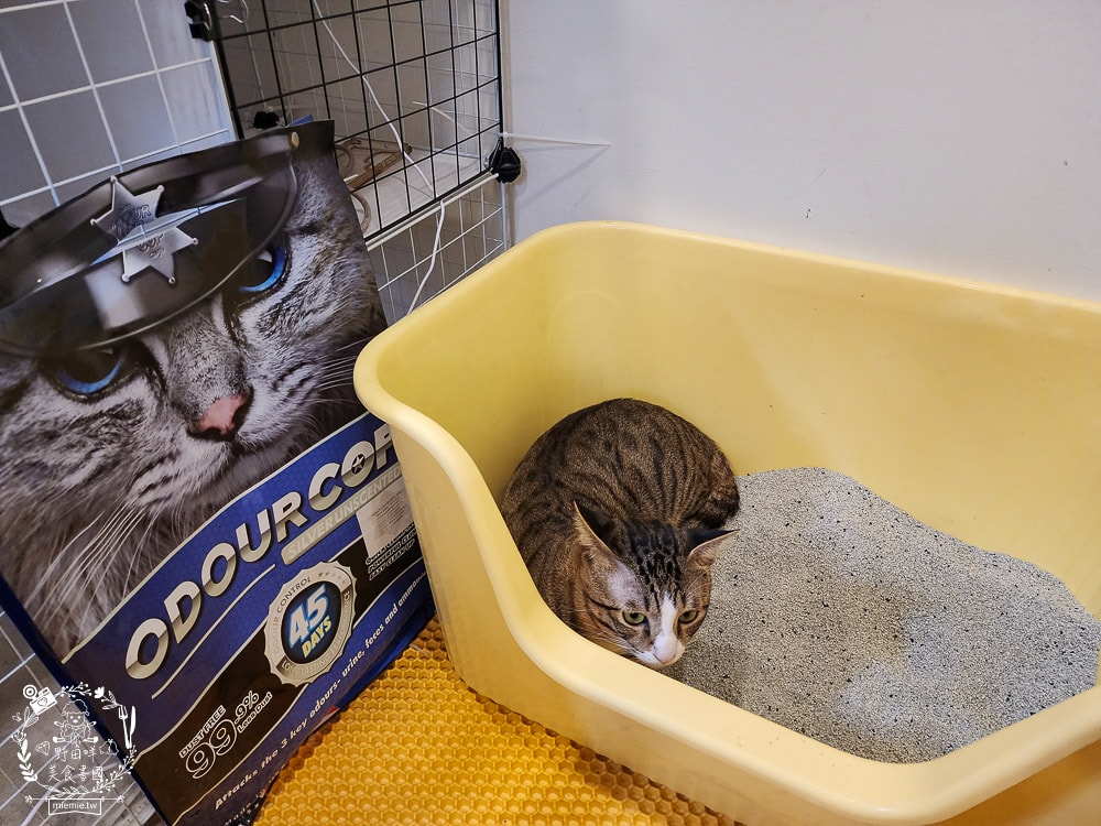 臭味警探貓砂|抑味抗菌長達30-45天，還有99.9%極低粉塵｜100%美國膨潤土+活性碳