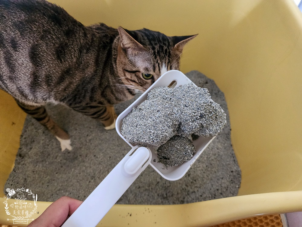 臭味警探貓砂|抑味抗菌長達30-45天，還有99.9%極低粉塵｜100%美國膨潤土+活性碳