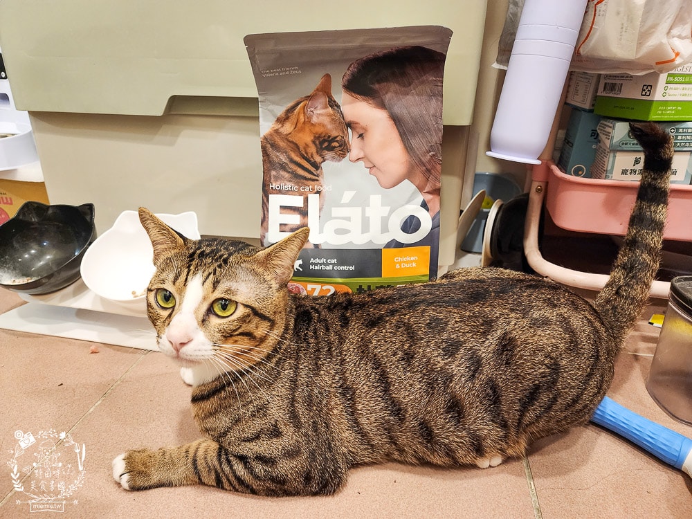 貓咪無穀貓糧推薦[Elato杜莎天然無穀貓糧]含肉量高達73%，碳水只有20.4%營養足夠的無穀乾糧推薦！